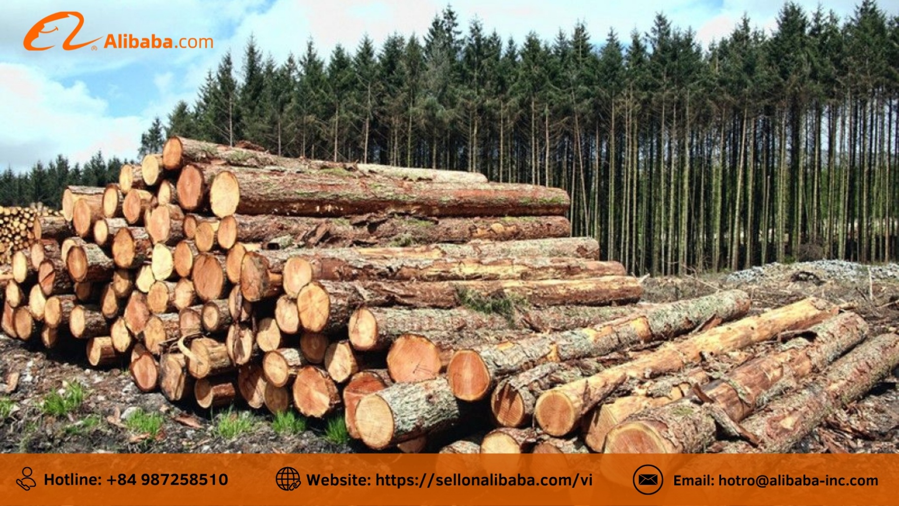 FSC证书:向欧盟销售木制家具的必要条件