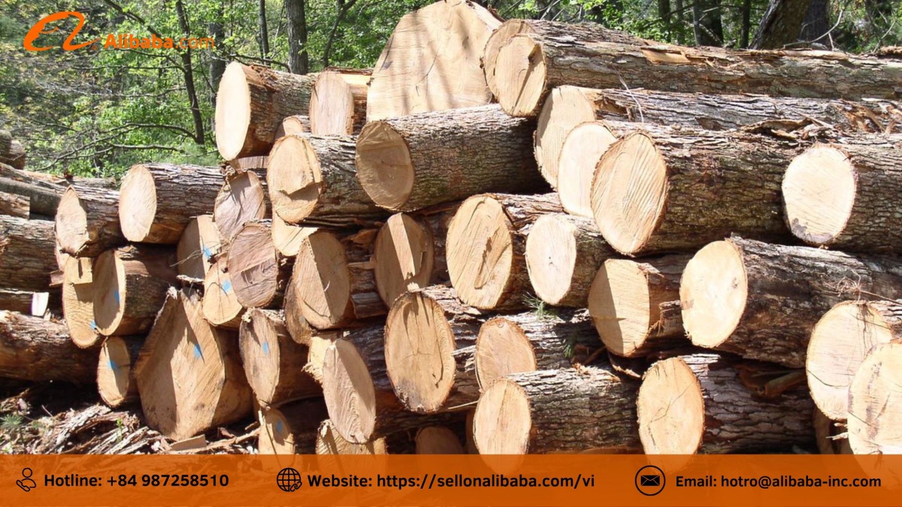 Digitally converting the quotation process for export wood factories on Alibaba