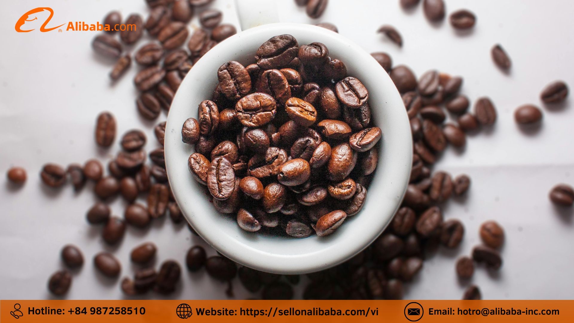 真相是阿里巴巴是咖啡出口行业的一个骗局