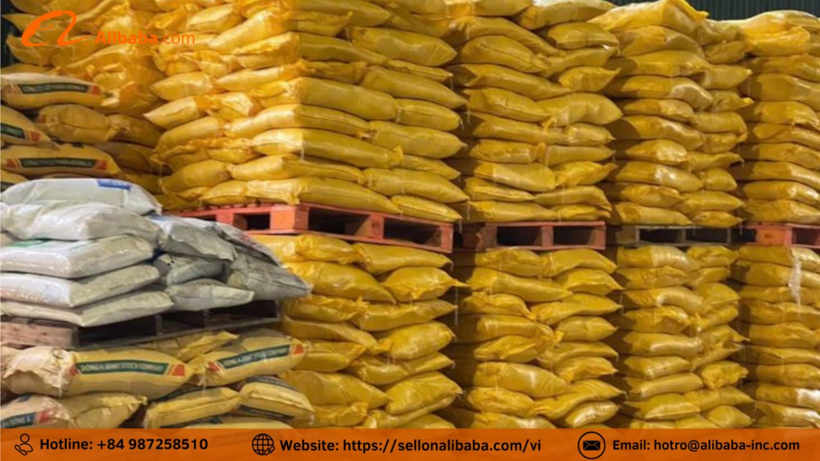  Chi phí bán bao bì trên Alibaba là bao nhiêu?