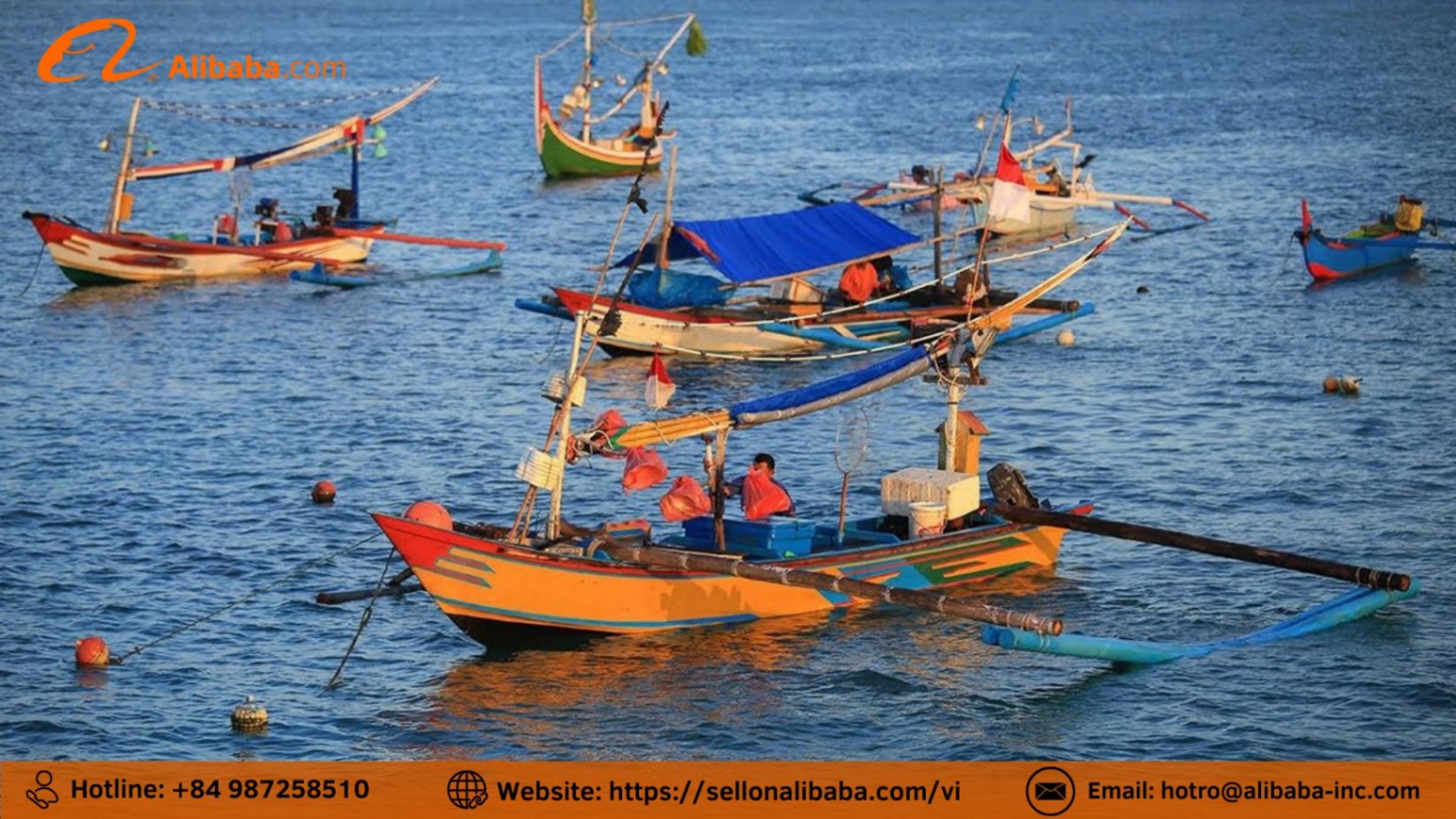 Vận chuyển container lạnh thủy sản qua sàn Alibaba