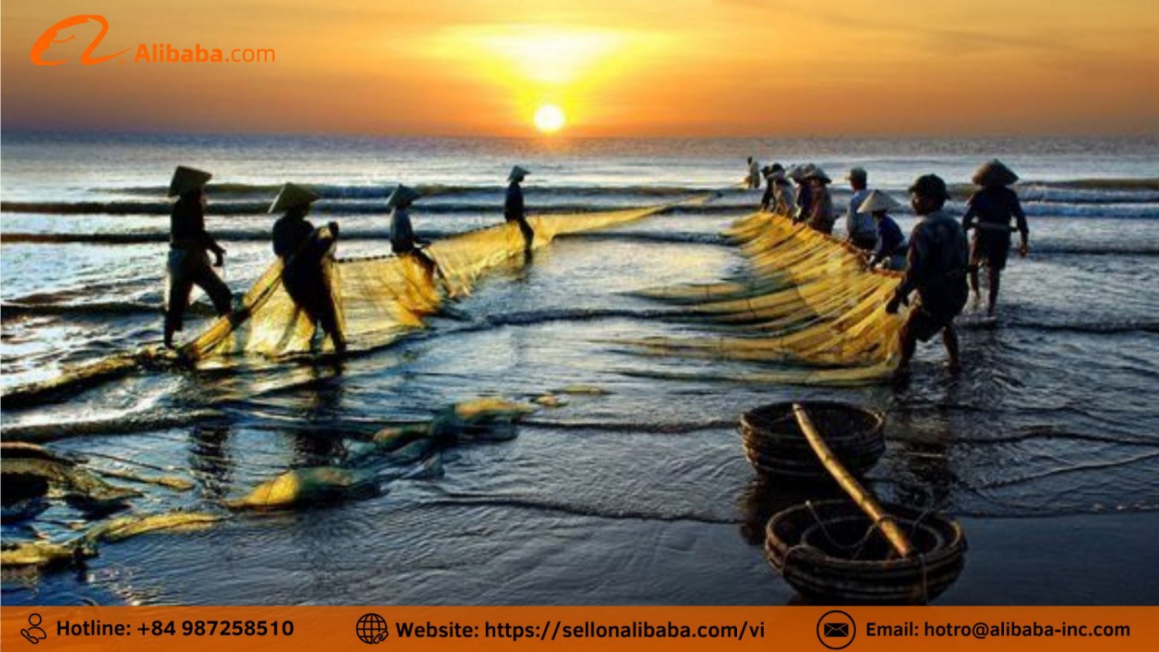 Xu hướng tiêu thụ thủy sản bền vững trên Alibaba