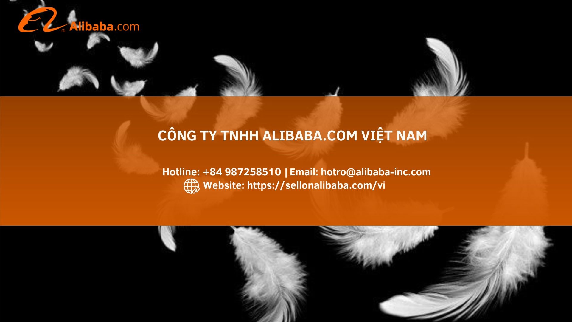 Breakthrough in export feather orders thanks to B2B platform