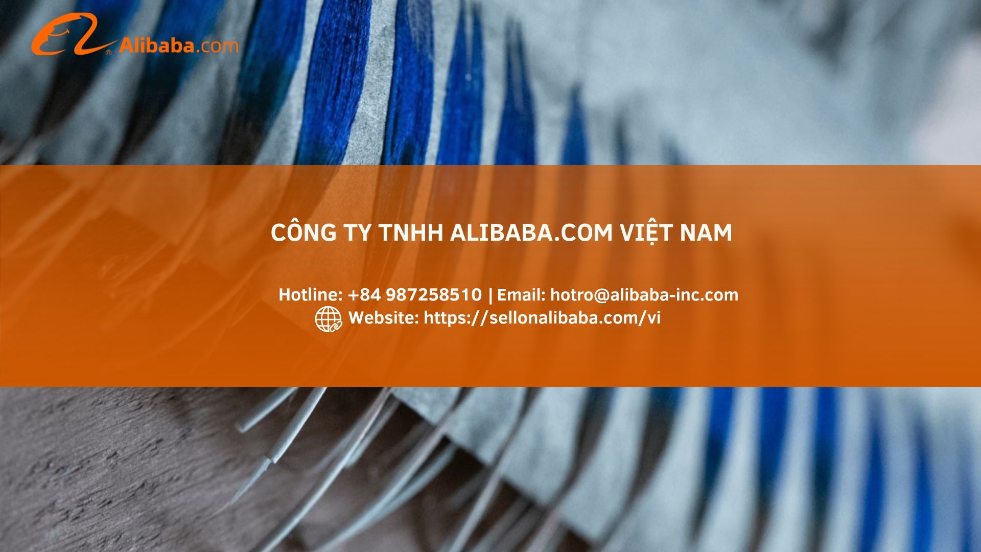 如何在阿里巴巴上寻找全球羽毛批发商