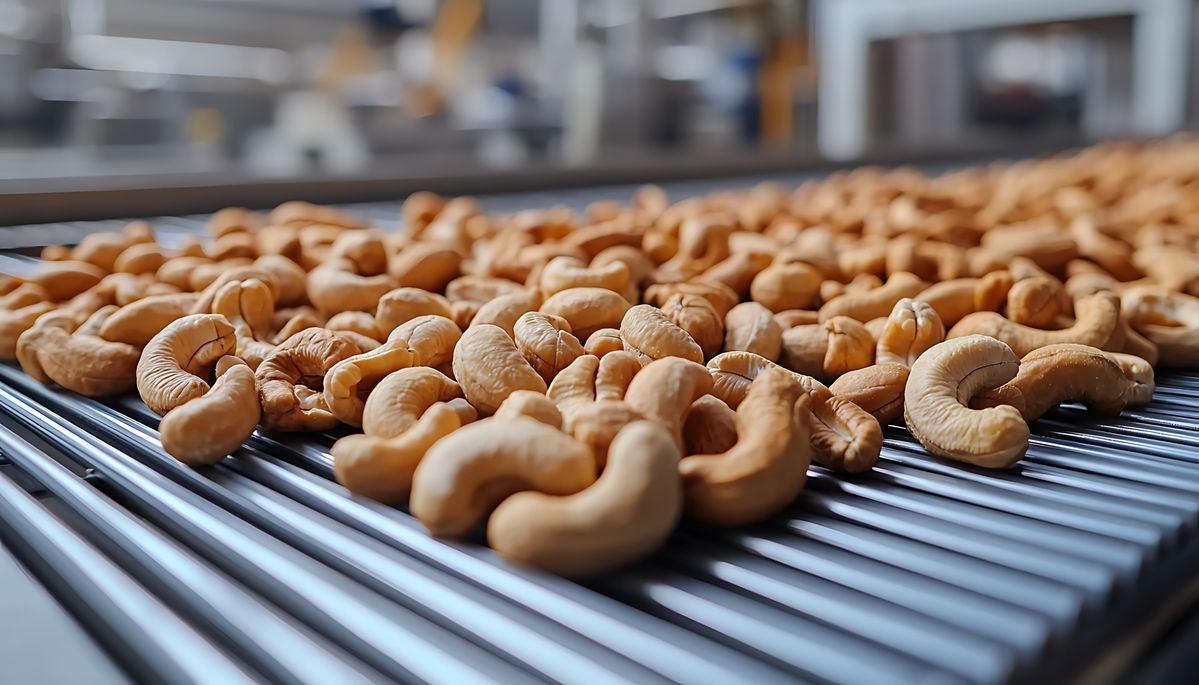  Quy trình xuất khẩu hạt điều qua Alibaba chi tiết