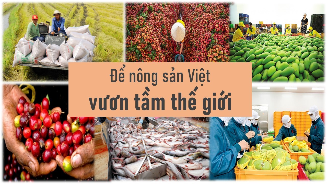 Nông sản Việt bùng nổ: Từ vườn nhà đến bàn ăn thế giới qua Alibaba