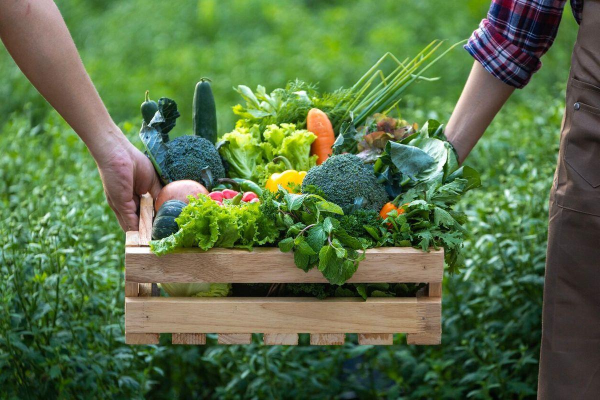 Processed agricultural products: Exporting is easier thanks to Alibaba booth
