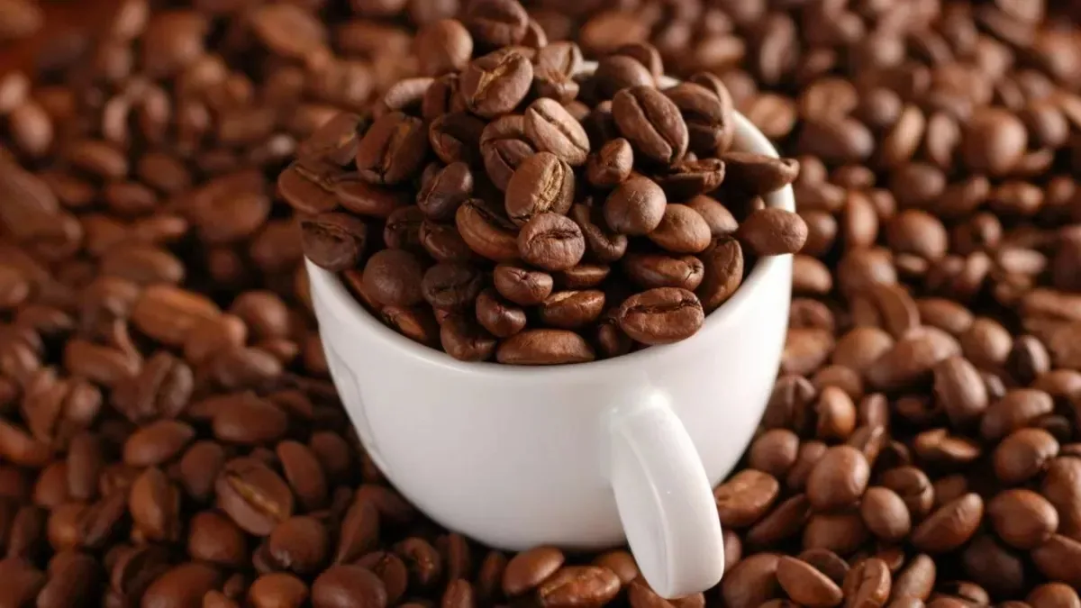 Cà Phê Robusta Việt Nam: Nguồn Cung Sỉ Chất Lượng Cao 2026