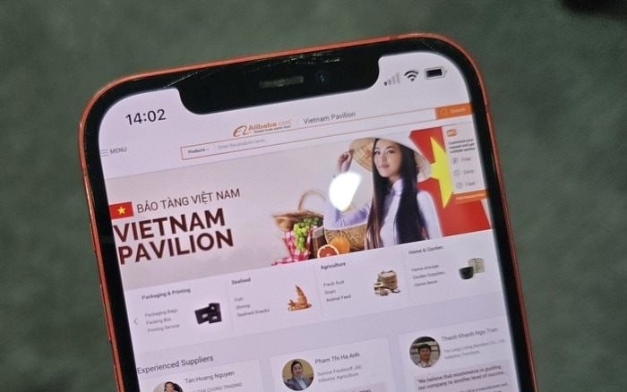 越南馆计划 - 越南 2026