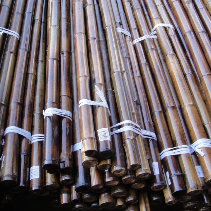 Bamboo Raw Materials