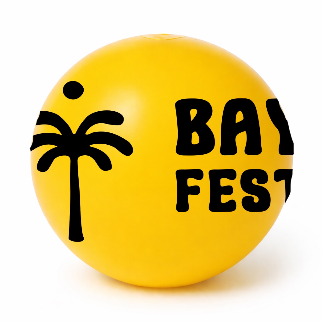 定制徽标印花沙滩球